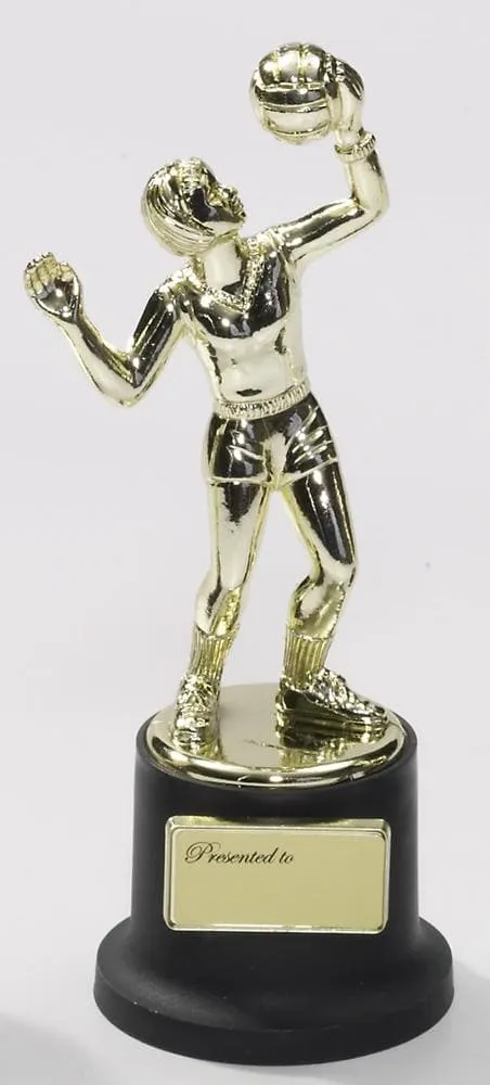 Volleyball Trophy Small