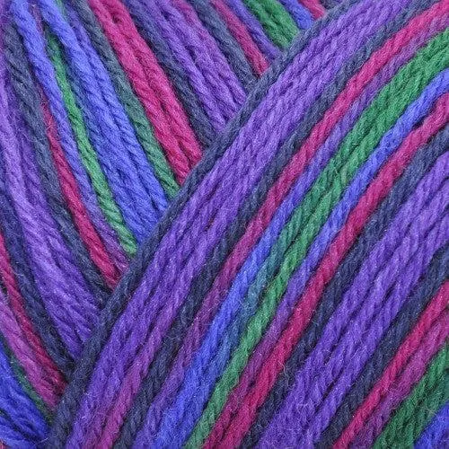 Wildfoote Luxury Sock Weight Superwash Yarn | 50 grams, 215 yards per skein